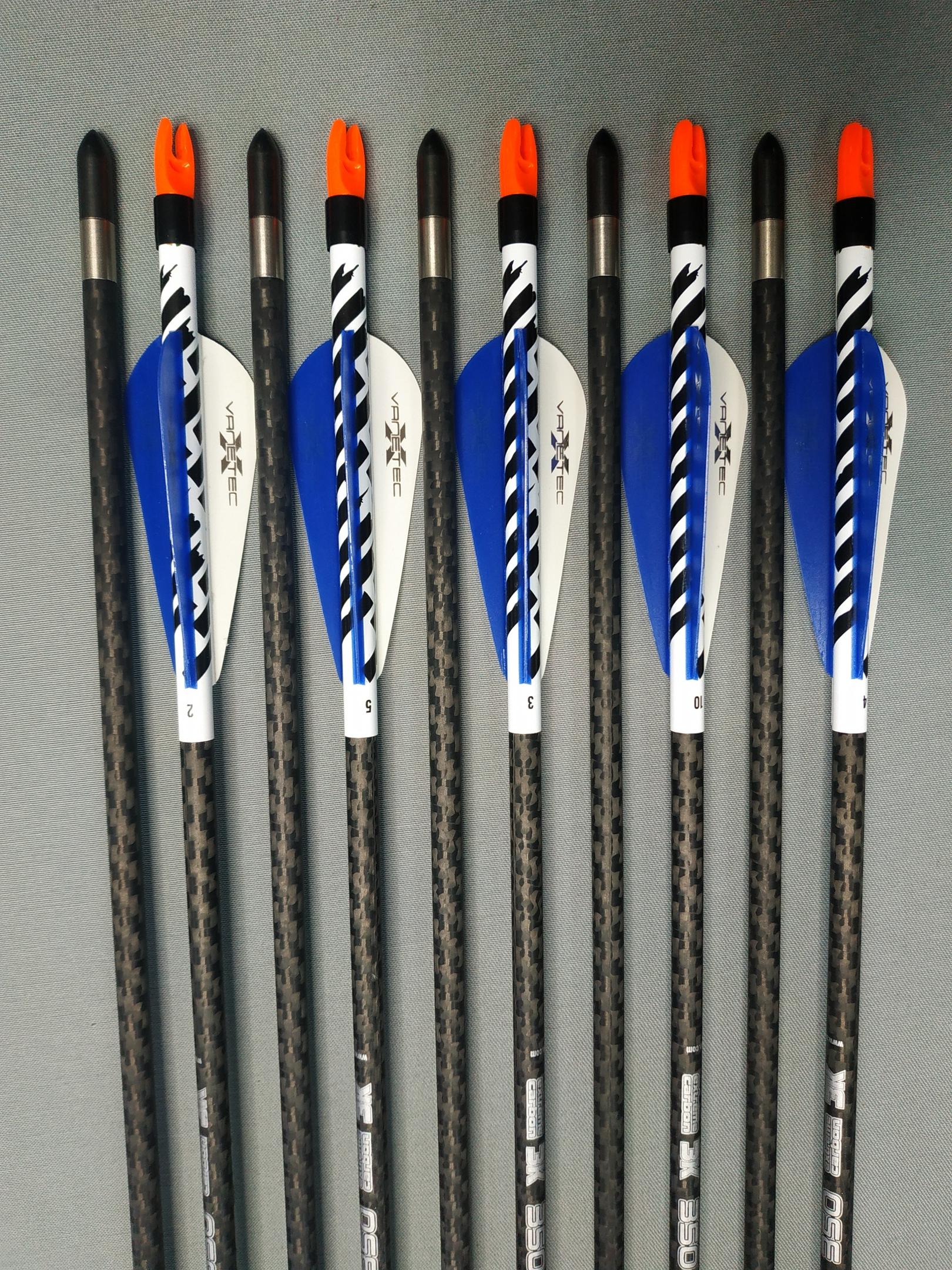 Стрелы Black Eagle Carbon Micro 350 10 шт