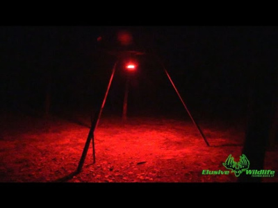 Люстра Kill Light  XTREME Motion Activated Feeder Light